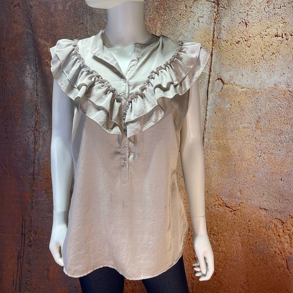 Tinley Road Tops - Taupe Silky Blouse